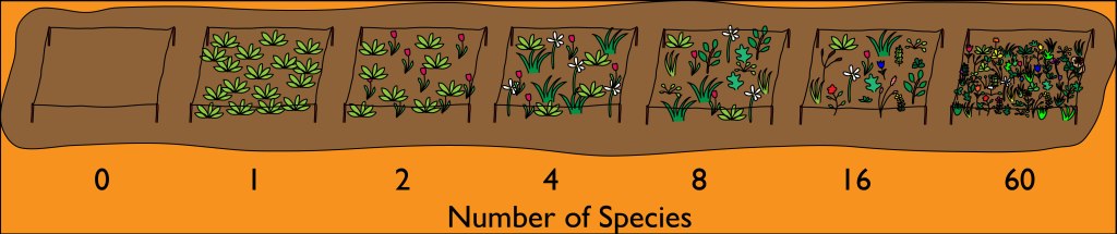 Jena Experiment -different numbers of plant species